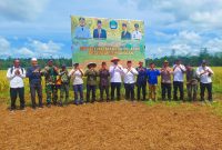 Oplus_131072